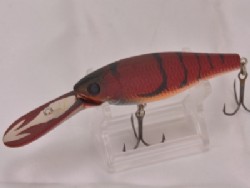 American craw