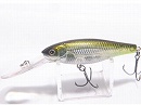 HT Ito Tennessee shad