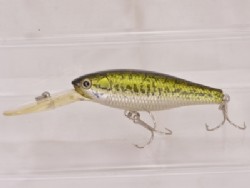GG bass