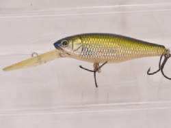 GG Tennessee shad
