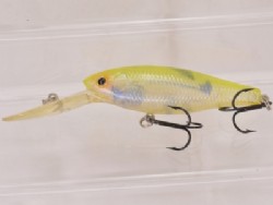 Hot shad