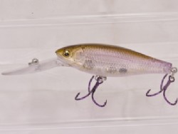 PM fine wakasagi