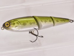 Baby bass