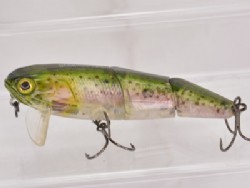 Ghost rainbow trout