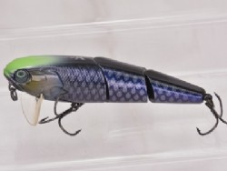 Green head navy pirarucu