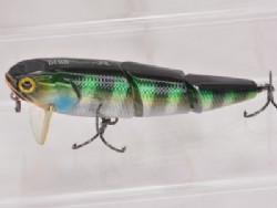 HL blue gill
