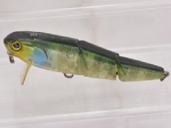 Skeleton gill