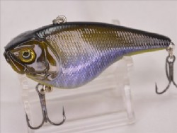Blue gill