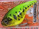Large mouth bass