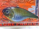 Blue gill