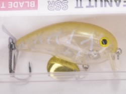 Gold clear coach dog
