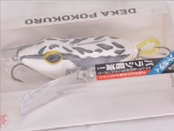 White toad
