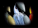 White / Black (#102) -Double silver willow
