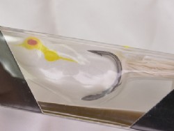 Albino