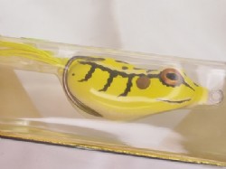 Yellow toad