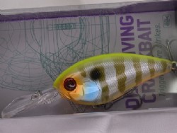 Chart back blue gill