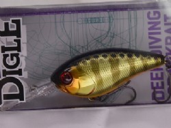 SK champagne gold gill