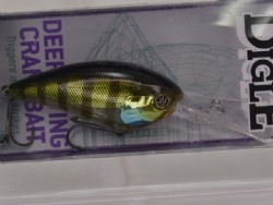 Jakkou gill