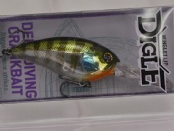 Jakkou gill
