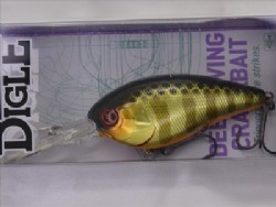 SK champagne gold gill
