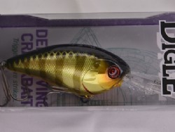 SK champagne gold gill