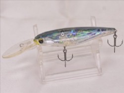 Black abalone wakasagi