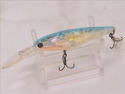 Lightning yellow abalone