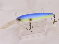 American blue shad