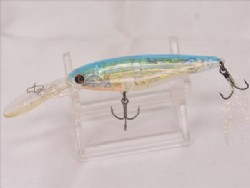 Lightning yellow abalone