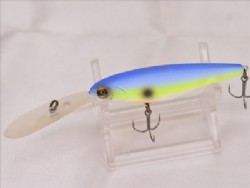 American blue shad