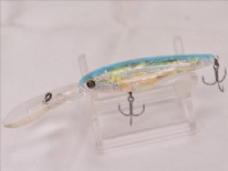 Lightning yellow abalone