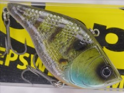 Real blue gill (2023 Member 17limited model)