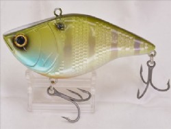 2019 Member limited model