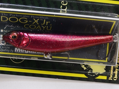 MEGABASS / DOG-X JR. COAYU | IchibanTackle.com