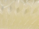 Clear white (#013)