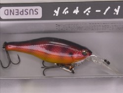 Red gill (#116)