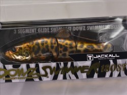 Blazing leopard