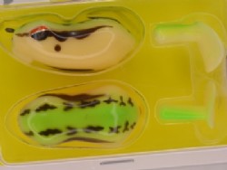 Amagaeru