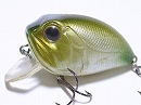 Ghost shad (Rattle model)