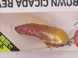 Clear brown