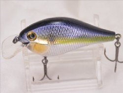 Metallic sexy shad