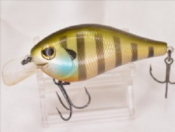 Pond gill
