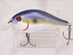 Sexy shad