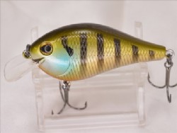 Pond gill
