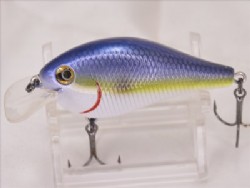 Sexy shad
