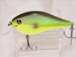 Sexy sunburst shad