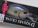 Sexy shad