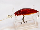 Bloody shad