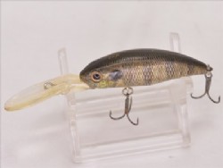 Real gill ver.2