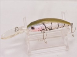 Softshell craw